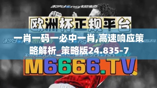 一肖一码一必中一肖,高速响应策略解析_策略版24.835-7