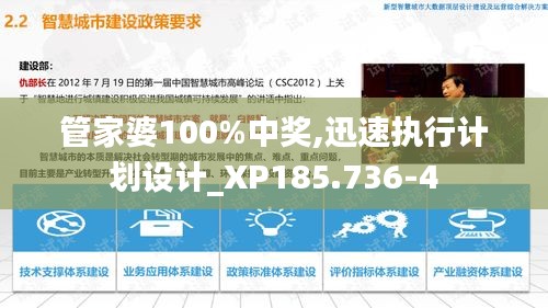 管家婆100%中奖,迅速执行计划设计_XP185.736-4