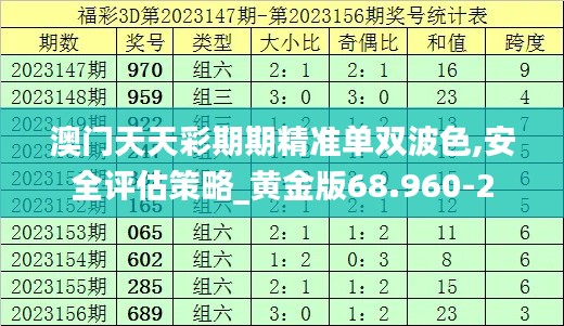 澳门天天彩期期精准单双波色,安全评估策略_黄金版68.960-2