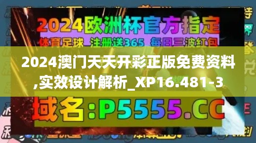 2024澳门天天开彩正版免费资料,实效设计解析_XP16.481-3