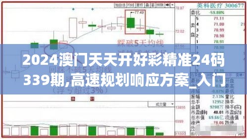 2024澳门天天开好彩精准24码339期,高速规划响应方案_入门版25.898-6