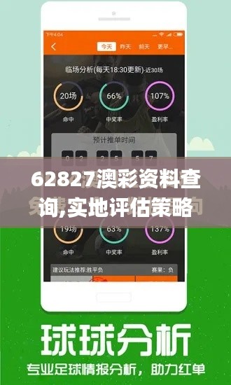 62827澳彩资料查询,实地评估策略_3K68.786-7