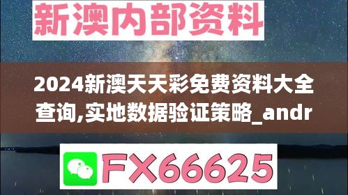 2024新澳天天彩免费资料大全查询,实地数据验证策略_android3.445-9
