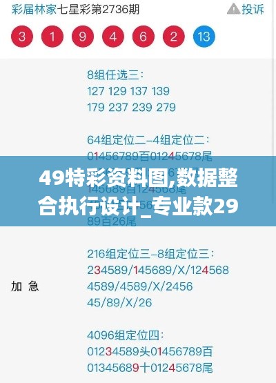 49特彩资料图,数据整合执行设计_专业款29.484-6