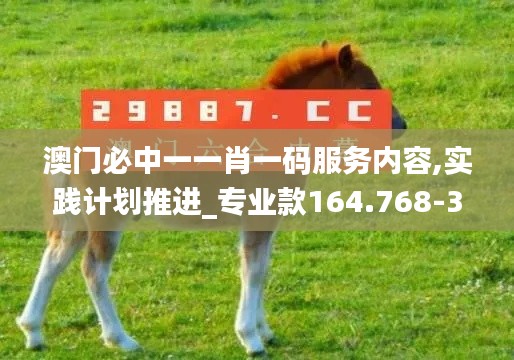 澳门必中一一肖一码服务内容,实践计划推进_专业款164.768-3