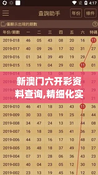 新澳门六开彩资料查询,精细化实施分析_WEZ38.502快捷版