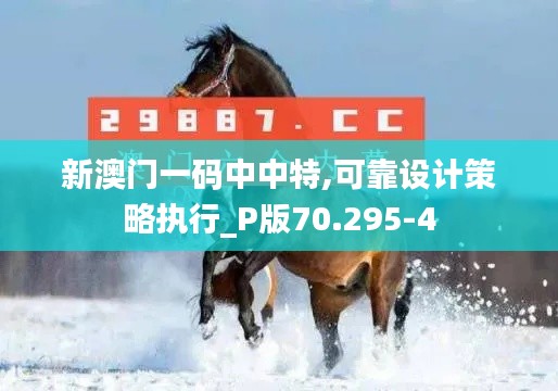 新澳门一码中中特,可靠设计策略执行_P版70.295-4