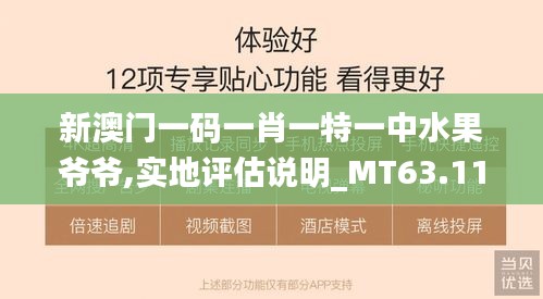 新澳门一码一肖一特一中水果爷爷,实地评估说明_MT63.110-7