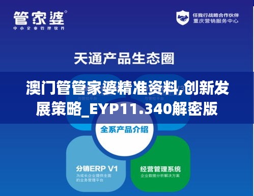 澳门管管家婆精准资料,创新发展策略_EYP11.340解密版