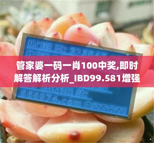管家婆一码一肖100中奖,即时解答解析分析_IBD99.581增强版