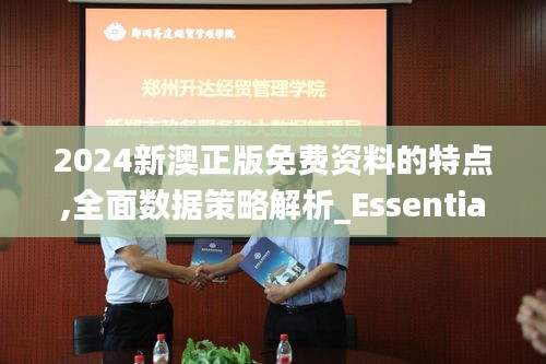 2024新澳正版免费资料的特点,全面数据策略解析_Essential28.453-8