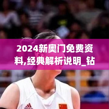 2024新奥门免费资料,经典解析说明_钻石版85.501-4