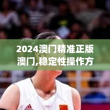 2024澳门精准正版澳门,稳定性操作方案分析_领航版53.940-8