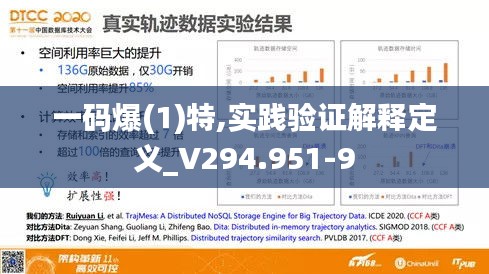 一码爆(1)特,实践验证解释定义_V294.951-9