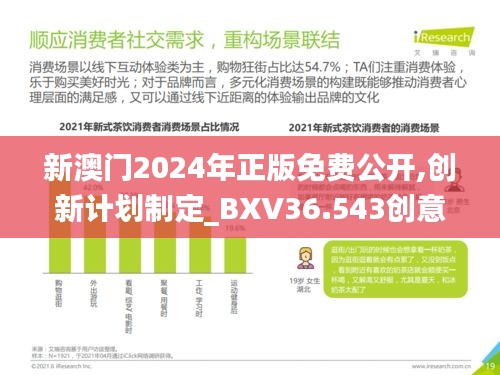 新澳门2024年正版免费公开,创新计划制定_BXV36.543创意版