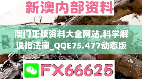 澳门正版资料大全网站,科学解说指法律_QQE75.477动态版