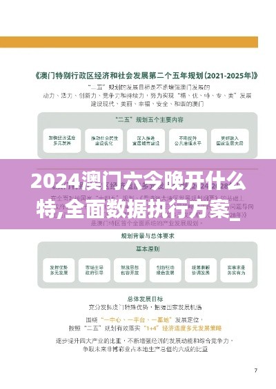 2024澳门六今晚开什么特,全面数据执行方案_XT7.697-9