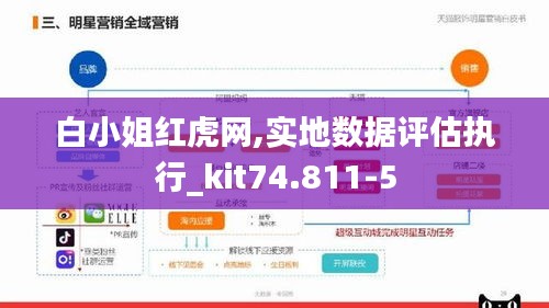 白小姐红虎网,实地数据评估执行_kit74.811-5