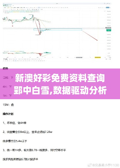 新澳好彩免费资料查询郢中白雪,数据驱动分析解析_Z52.909-7
