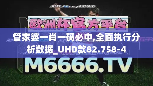 管家婆一肖一码必中,全面执行分析数据_UHD款82.758-4