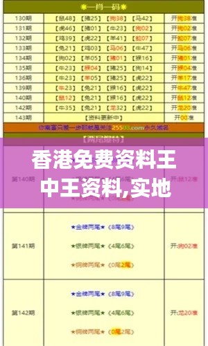香港免费资料王中王资料,实地解答解释定义_U80.224-7