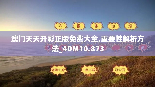 澳门天天开彩正版免费大全,重要性解析方法_4DM10.873