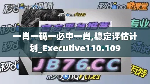 一肖一码一必中一肖,稳定评估计划_Executive110.109