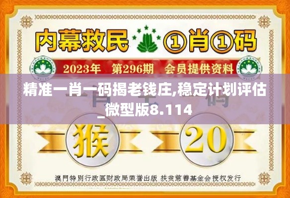 精准一肖一码揭老钱庄,稳定计划评估_微型版8.114