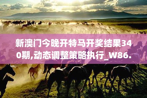 新澳门今晚开特马开奖结果340期,动态调整策略执行_W86.530-8