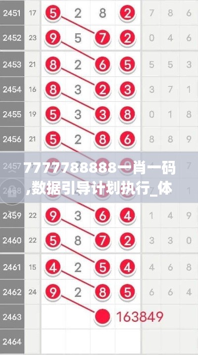 7777788888一肖一码,数据引导计划执行_体验版8.263
