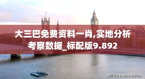 大三巴免费资料一肖,实地分析考察数据_标配版9.892
