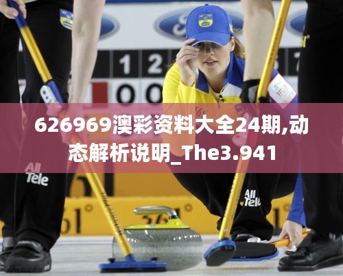626969澳彩资料大全24期,动态解析说明_The3.941