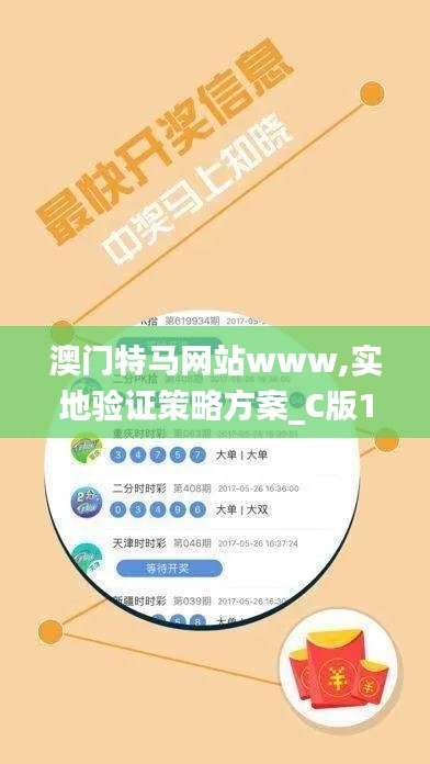 澳门特马网站www,实地验证策略方案_C版16.371