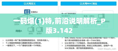 一码爆(1)特,前沿说明解析_P版3.142