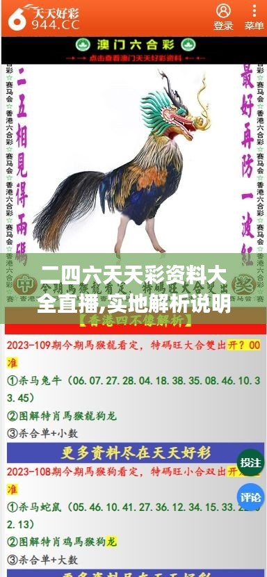 二四六天天彩资料大全直播,实地解析说明_SHD6.568