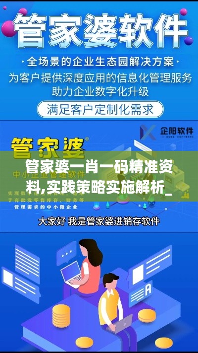 管家婆一肖一码精准资料,实践策略实施解析_Mixed8.743