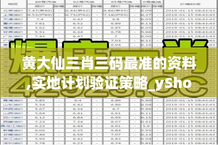 黄大仙三肖三码最准的资料,实地计划验证策略_yShop3.465