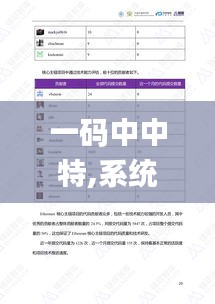 一码中中特,系统化评估说明_V24.721