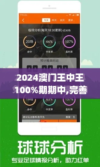 2024澳门王中王100%期期中,完善的执行机制分析_9DM3.493
