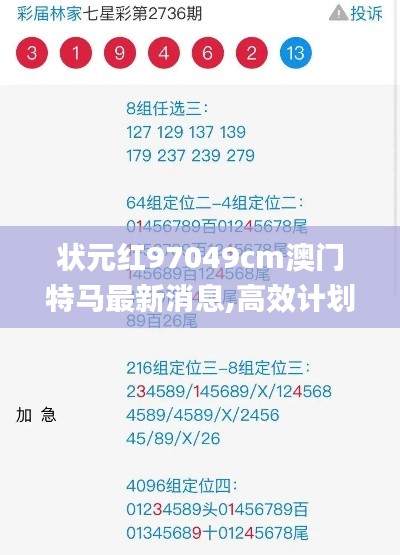 状元红97049cm澳门特马最新消息,高效计划分析实施_投资版8.883