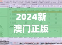 2024新澳门正版免费资料,深入分析解释定义_界面版4.918