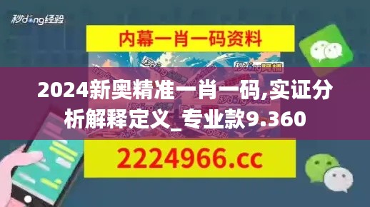 2024新奥精准一肖一码,实证分析解释定义_专业款9.360