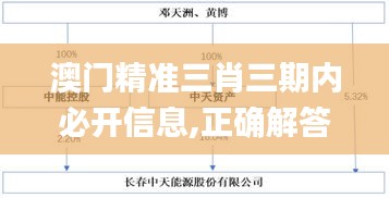 澳门精准三肖三期内必开信息,正确解答定义_苹果款8.709