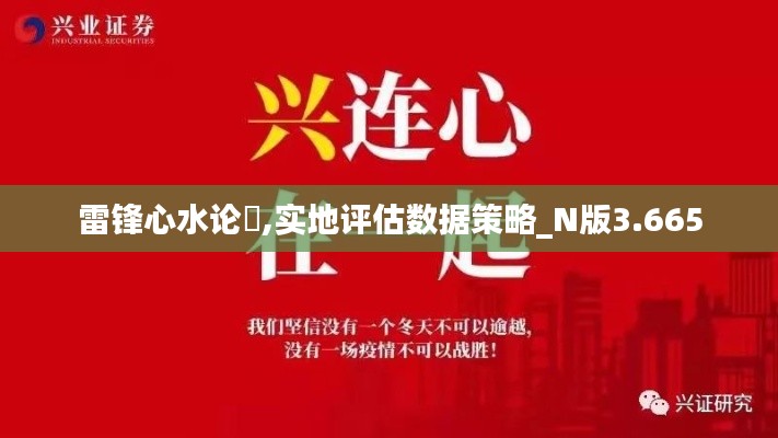 雷锋心水论枟,实地评估数据策略_N版3.665