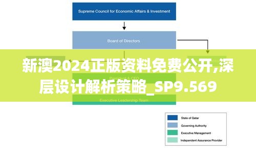 新澳2024正版资料免费公开,深层设计解析策略_SP9.569