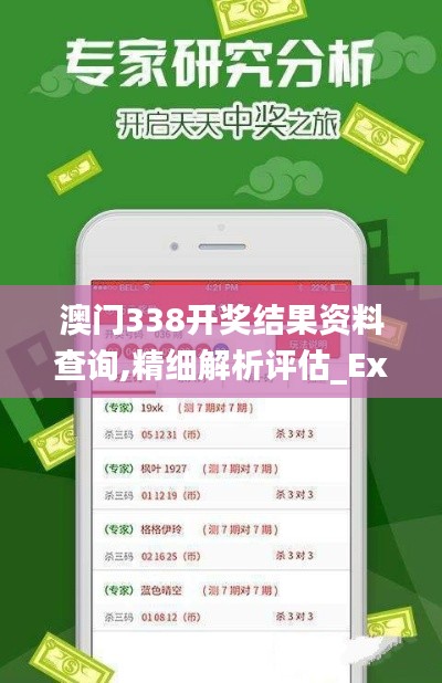 澳门338开奖结果资料查询,精细解析评估_Executive4.117