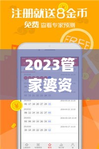 2023管家婆资料正版大全澳门,高效实施设计策略_U4.968