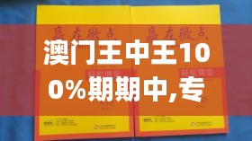 澳门王中王100%期期中,专家说明解析_微型版2.939