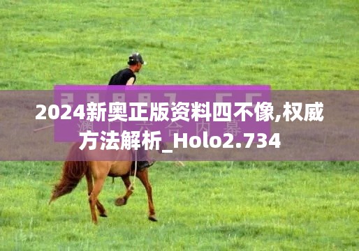 2024新奥正版资料四不像,权威方法解析_Holo2.734