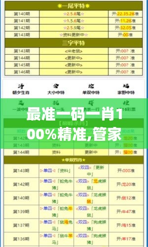 最准一码一肖100%精准,管家婆大小中特,专业解答实行问题_粉丝版8.399